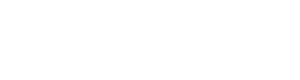 Playlo Logo White